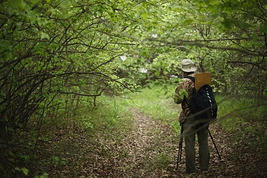 Создание нацпарка «Самурский» позволит сохранить уникальный лиановый лес