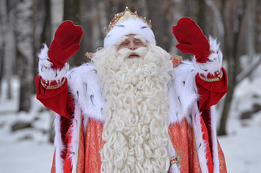 Российские дети призвали Деда Мороза «заморозить» COVID-19