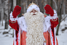 Российские дети призвали Деда Мороза «заморозить» COVID-19