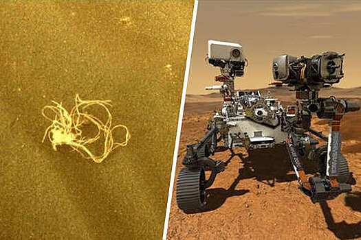 NASA раскрыло тайну "спагетти", найденных на Марсе