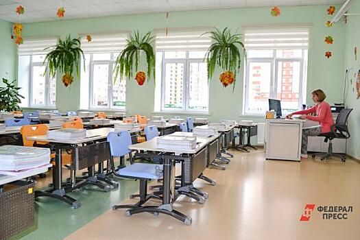 В некоторых школах Чуваши начались досрочные каникулы из-за ОРВИ