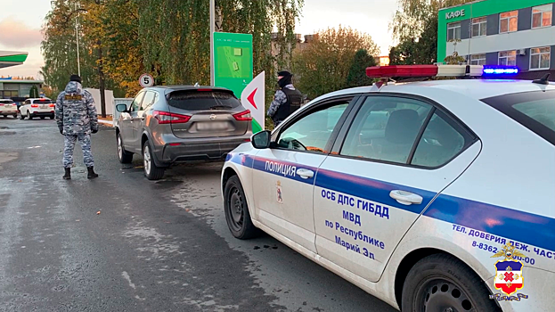 В Йошкар-Оле задержан злостный нарушитель ПДД, перевозивший в машине без автокресел четырёх детей