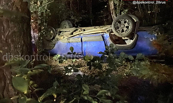 Амурчанина, разбившего угнанный автомобиль, задержали полицейские, стали известны подробности