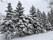 В Самарской области 3 февраля был побит рекорд по выпавшим осадкам