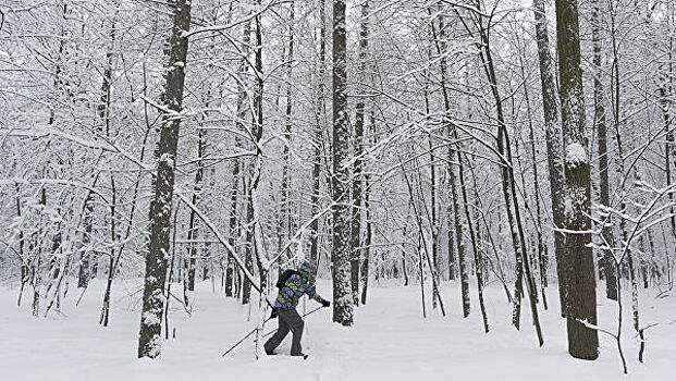 В Москве обновили лыжные трассы после снегопадов