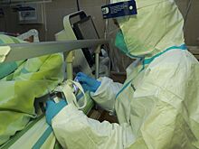 Вместе с коронавирусом началась вспышка птичьего гриппа