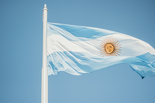 Министр экономики Аргентины сообщил о снижении курса песо вдвое для сокращения инфляции