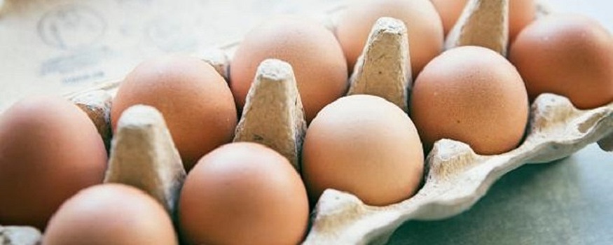 Тульский Роспотребнадзор предупредил земляков о мясе и яйцах кур, зараженных гриппом А