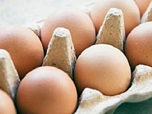 Тульский Роспотребнадзор предупредил земляков о мясе и яйцах кур, зараженных гриппом А