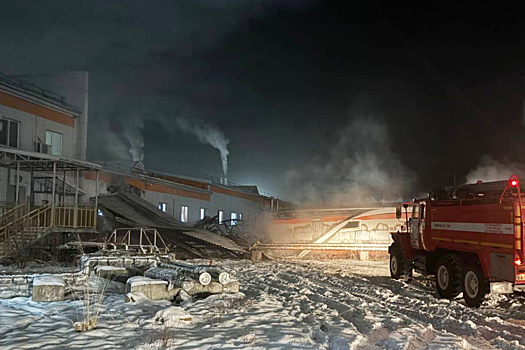 Крупный пожар произошел в здании угольной компании в Туве