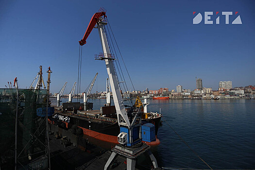 "Настоящий экоцид": рыбный порт засыпает углем Владивосток