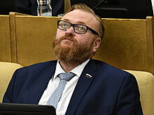 Милонов предложил ограничить работу елочных базаров