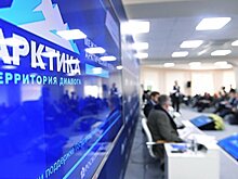 Замглавы МЭР: Арктика не может жить только крупными "якорными" проектами