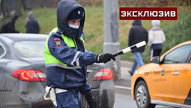Автоэксперт оценил эффективность проекта КоАП с новыми штрафами для водителей