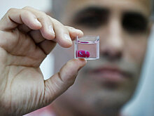 Маленькое человеческое сердце впервые создано из стволовых клеток