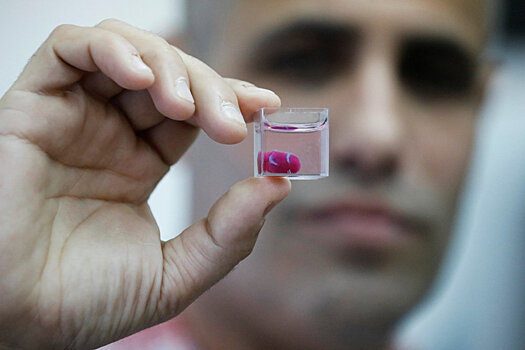 Маленькое человеческое сердце впервые создано из стволовых клеток