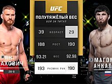 Ничья в бое Анкалаева и Блаховича, Пимблетт победил Гордона и другие бои на UFC 282