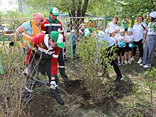 РУСАЛ организовал в Красноярске экоакцию по высадке деревьев «Зелёная волна»