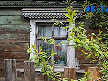 Земельный сертификат: как многодетным семьям оформить господдержку