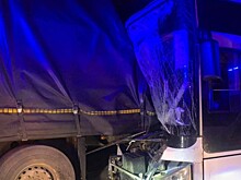 Рейсовый автобус столкнулся с грузовиком под Петербургом