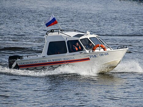 Двух тонущих людей спасли из водоемов Москвы