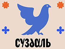 Общественница Анна Ильина попросила проверить Артемия Лебедева на пропаганду ЛГБТ