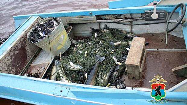 В Карелии 60‑летний мужчина заплатит крупный штраф за незаконный вылов рыбы в Онежском озере