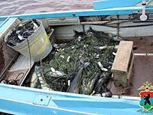 В Карелии 60‑летний мужчина заплатит крупный штраф за незаконный вылов рыбы в Онежском озере