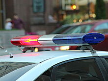 Главу частной клиники убили в Москве из-за неправильно назначенного лечения