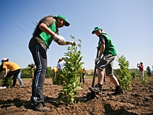 Губернатор Волгоградской области поручил провести в регионе субботники
