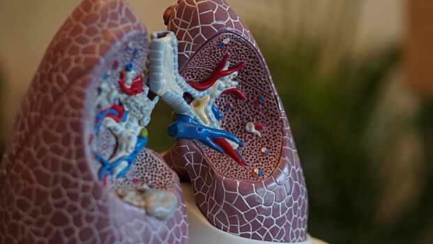 Что будет с организмом у мужчин и женщин, если резко бросить курить