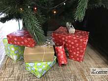 Голикова в рамках "Елки желаний" исполнит мечту подростка побывать на концерте "Любэ"