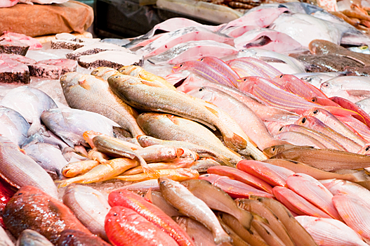 Ртутная рыба: как распознать опасный продукт