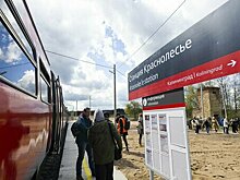 Выходные в Краснолесье: как добраться, чем заняться и где ночевать