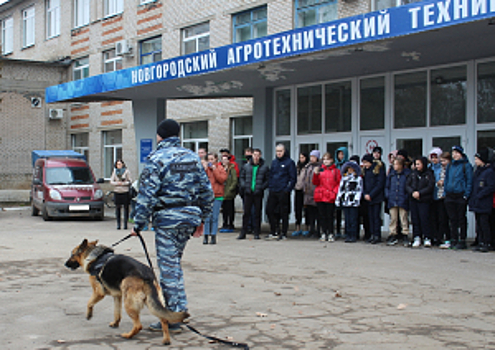 В  Новгородской области полицейские-кинологи выступили перед студентами и школьниками в рамках «Дней открытых дверей»