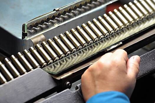 Бывшего владельца Климовского патронного завода по кличке Амиго заочно осудили на 15 лет