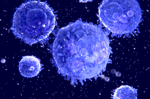 Найдено помогающее убивать раковые клетки антитело