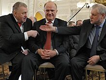 Оппозиция, говорите, ну-ну