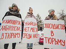 Краевой суд Хабаровска 21 декабря рассмотрит апелляции "хабаровских живодерок"