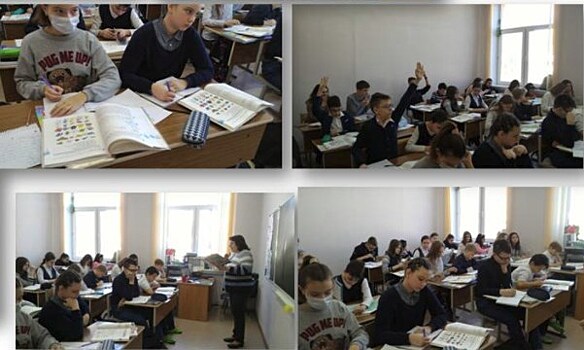 В школе № 113 прошли открытые уроки английского, русского языка и биологии