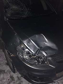 В Глазове автомобилист сбил двух пешеходов на зебре и скрылся с места ДТП