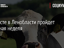 В августе в Ленобласти пройдет аграрная неделя