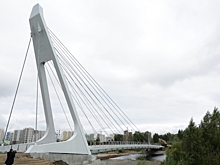 Гендиректор «КОНАР» предложил челябинцам проводить гендер-пати на вантовом мосту