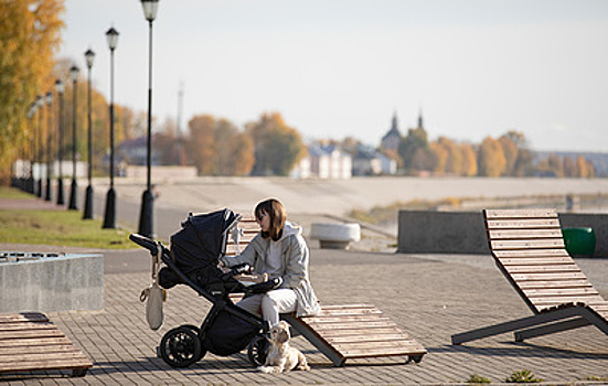 С 2026 года предлагают установить прогрессивную шкалу маткапитала