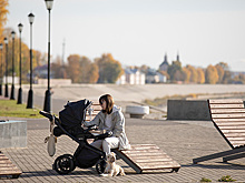 С 2026 года предлагают установить прогрессивную шкалу маткапитала