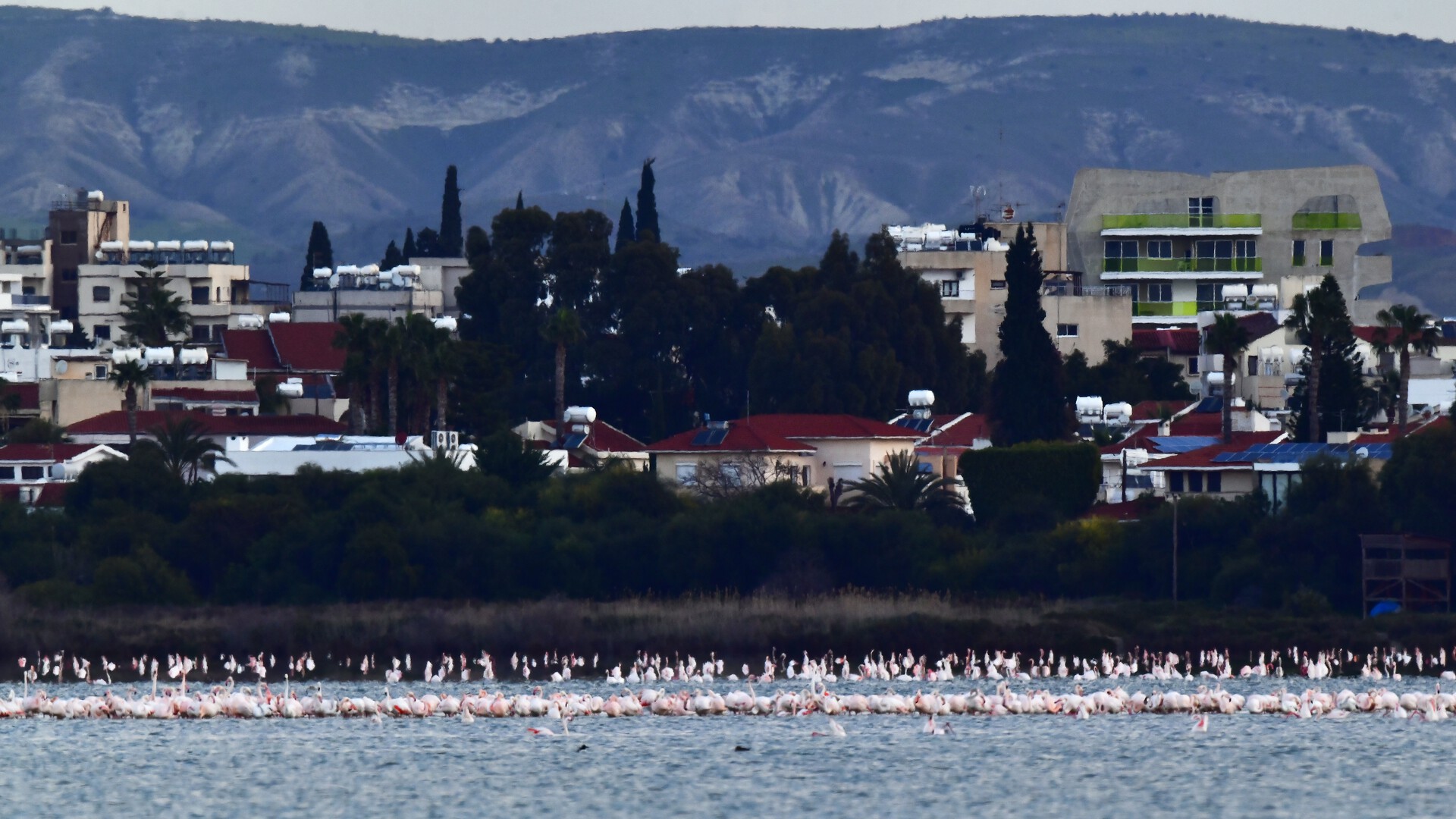 Стала известна позиция России по конфликту на Кипре