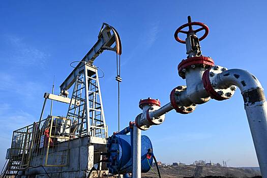 Изменение потолка цен на российскую нефть назвали имиджевой историей