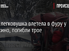 Фото: легковушка влетела в фуру у Чемихино, погибли трое