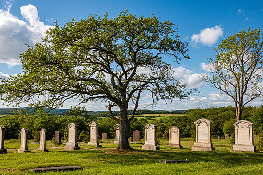 Генеалогический туризм набирает популярность в России