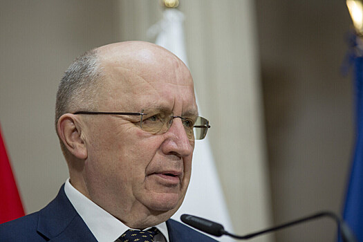 Еврокомиссар по обороне не смог объяснить, как будет работать система "Стена дронов"